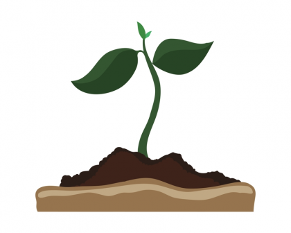 What is regenerative agriculture? Regenerative agriculture aims to help reverse climate change.